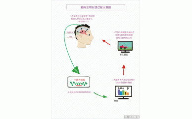 上海竞思教育注意力训练