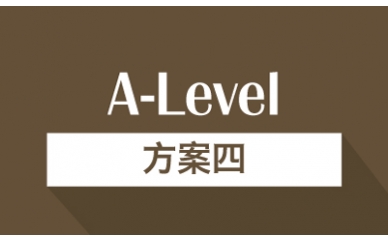 A-Level方案四