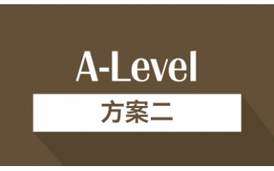 A-Level方案二