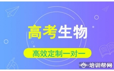 高考生物一对一同步冲刺辅导班