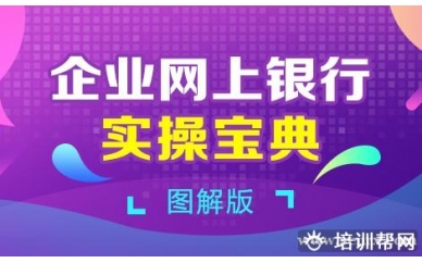 北京会计教练企业网上银行实操宝典