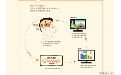 竞思青少年脑电生物反馈培训