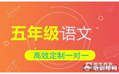 小学五年级语文一对一个性化辅导班