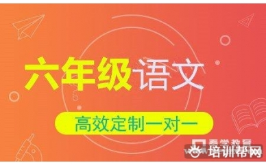 小学六年级语文一对一个性化辅导班