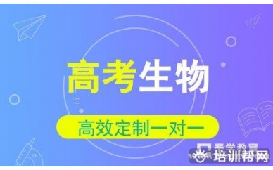 高考生物一对一同步冲刺辅导班