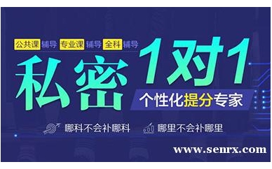 2019考研私密一对一提分班（公共课、专业课、语言类）