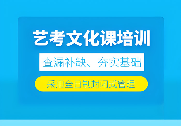 武汉艺术生文化课学校哪里教学好 哪家值得推荐