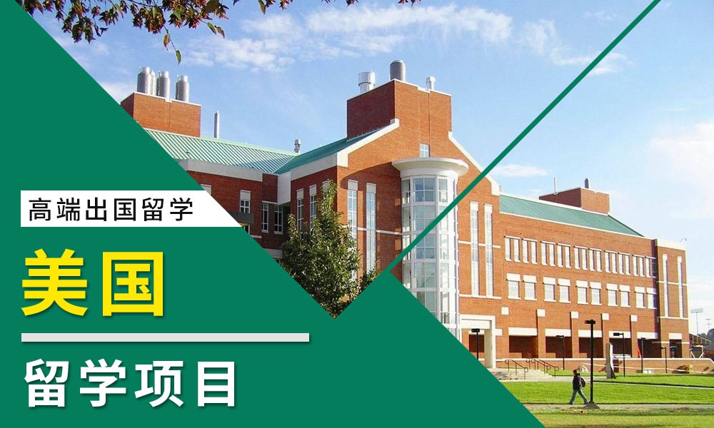 杭州优质的比利时留学公司按实力精选排名